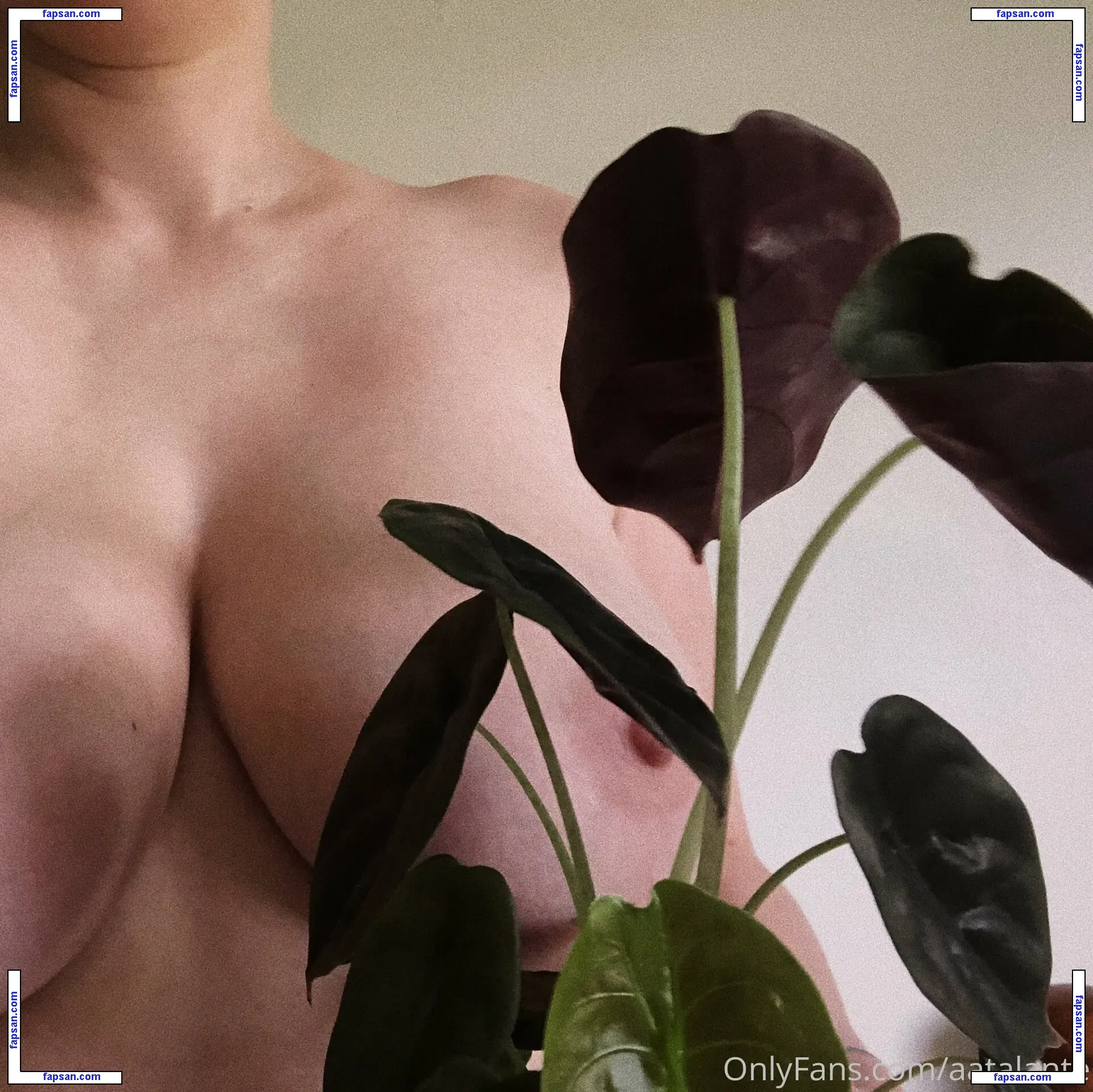 aatalante nude photo #0057 from OnlyFans