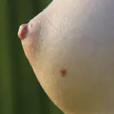 AbbyWinters nude #1914