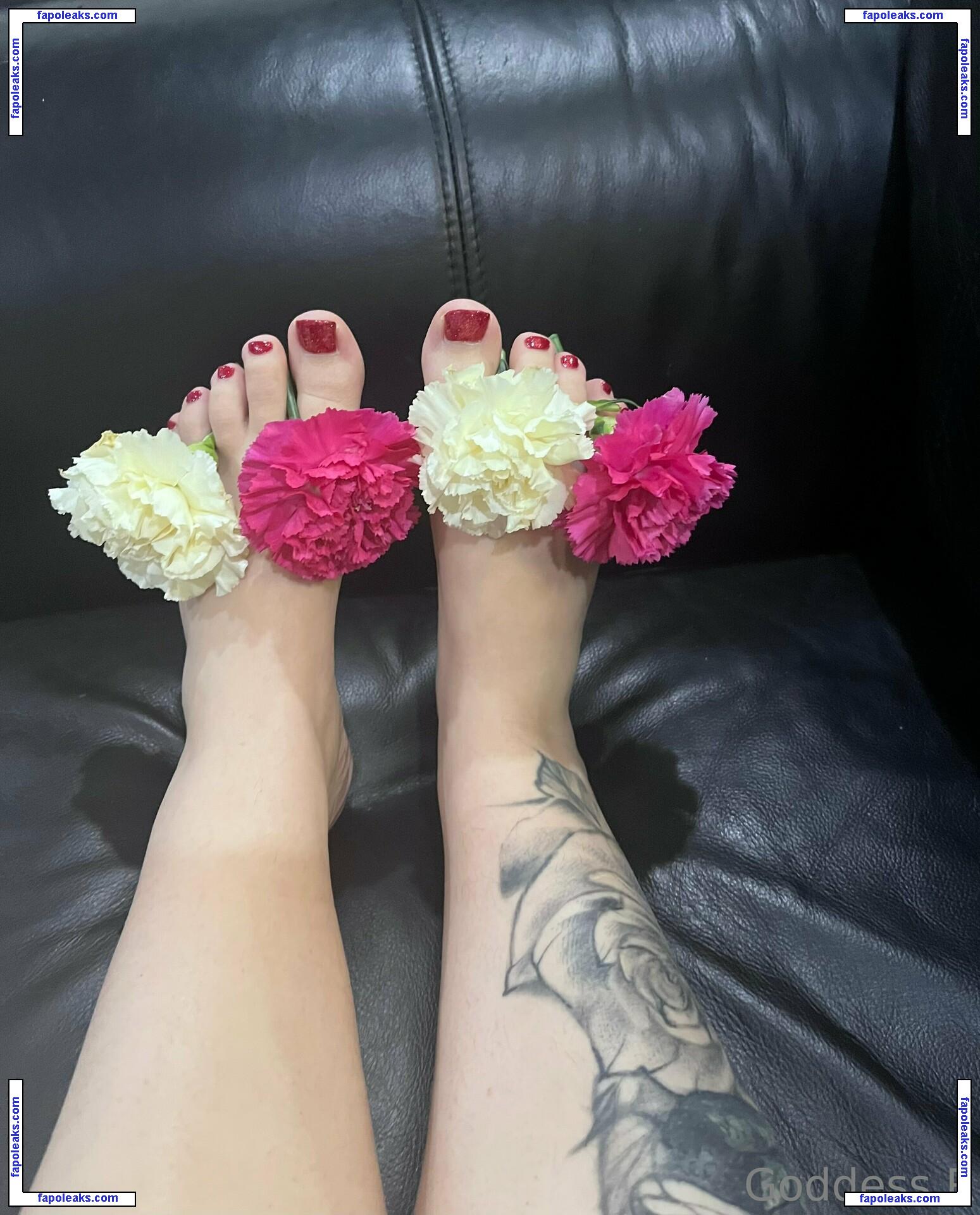 acebosswoman / canadiangirl_talks nude photo #0013 from OnlyFans