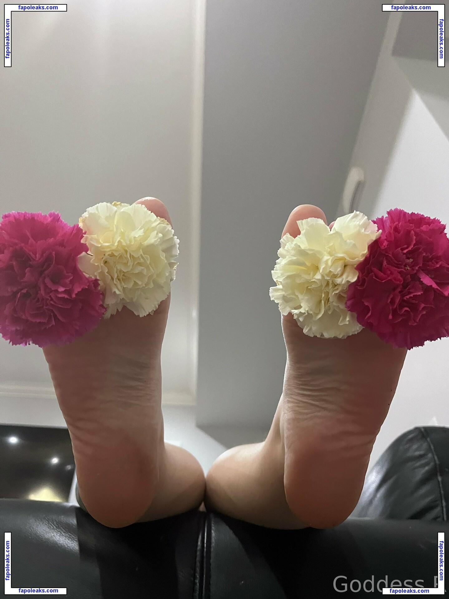 acebosswoman / canadiangirl_talks nude photo #0018 from OnlyFans