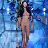 Adriana Lima голая #0914