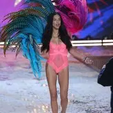 Adriana Lima голая #0926