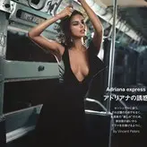 Adriana Lima голая #1296