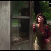 Adrienne Barbeau nude #0094