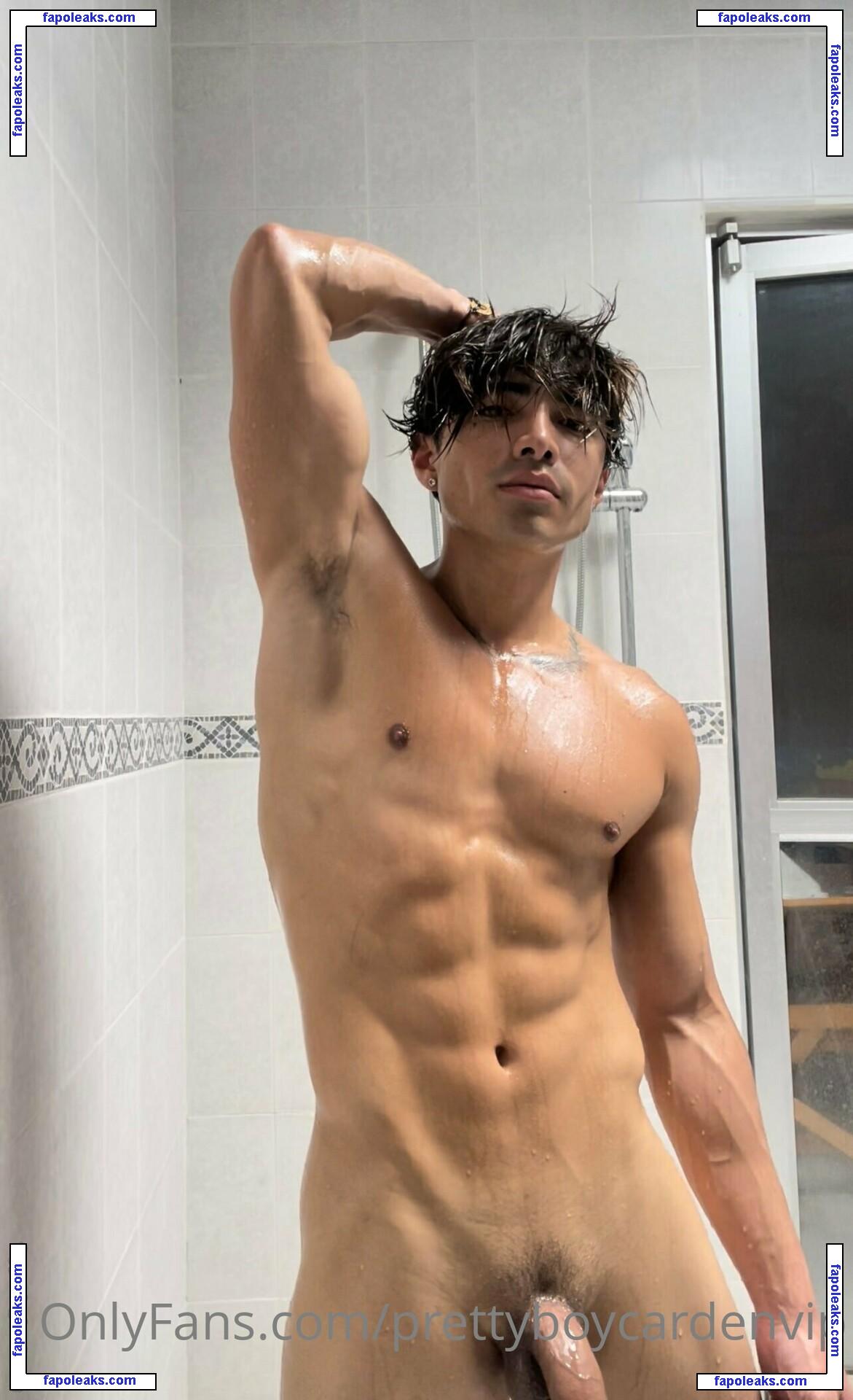 aedanvip / aedan_d23 nude photo #0028 from OnlyFans