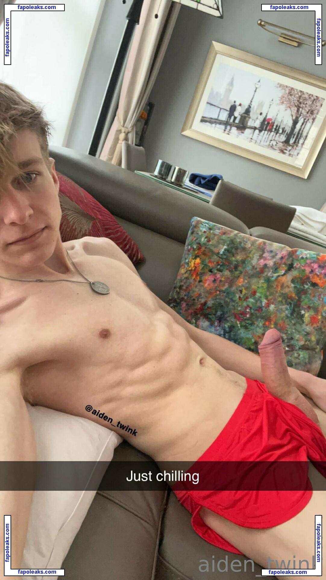 aiden_twink / platinumtwink nude photo #0014 from OnlyFans