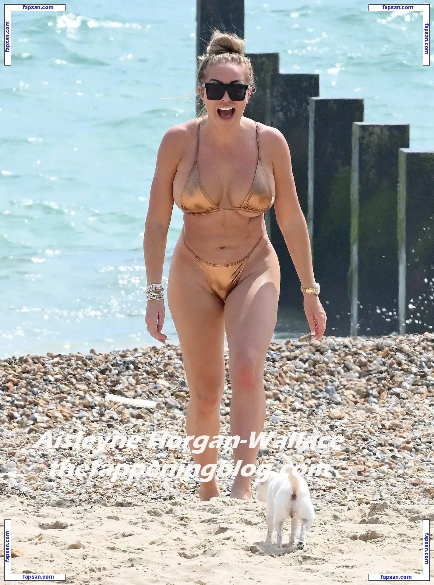 Aisleyne Horgan-Wallace nude photo #0687 from OnlyFans