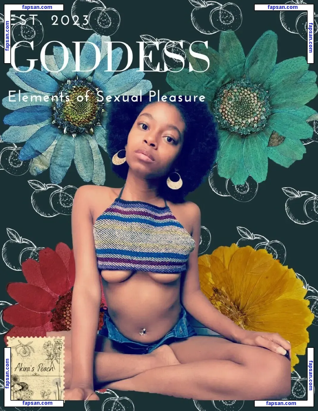 Akiras Peach nude photo #0010 from OnlyFans