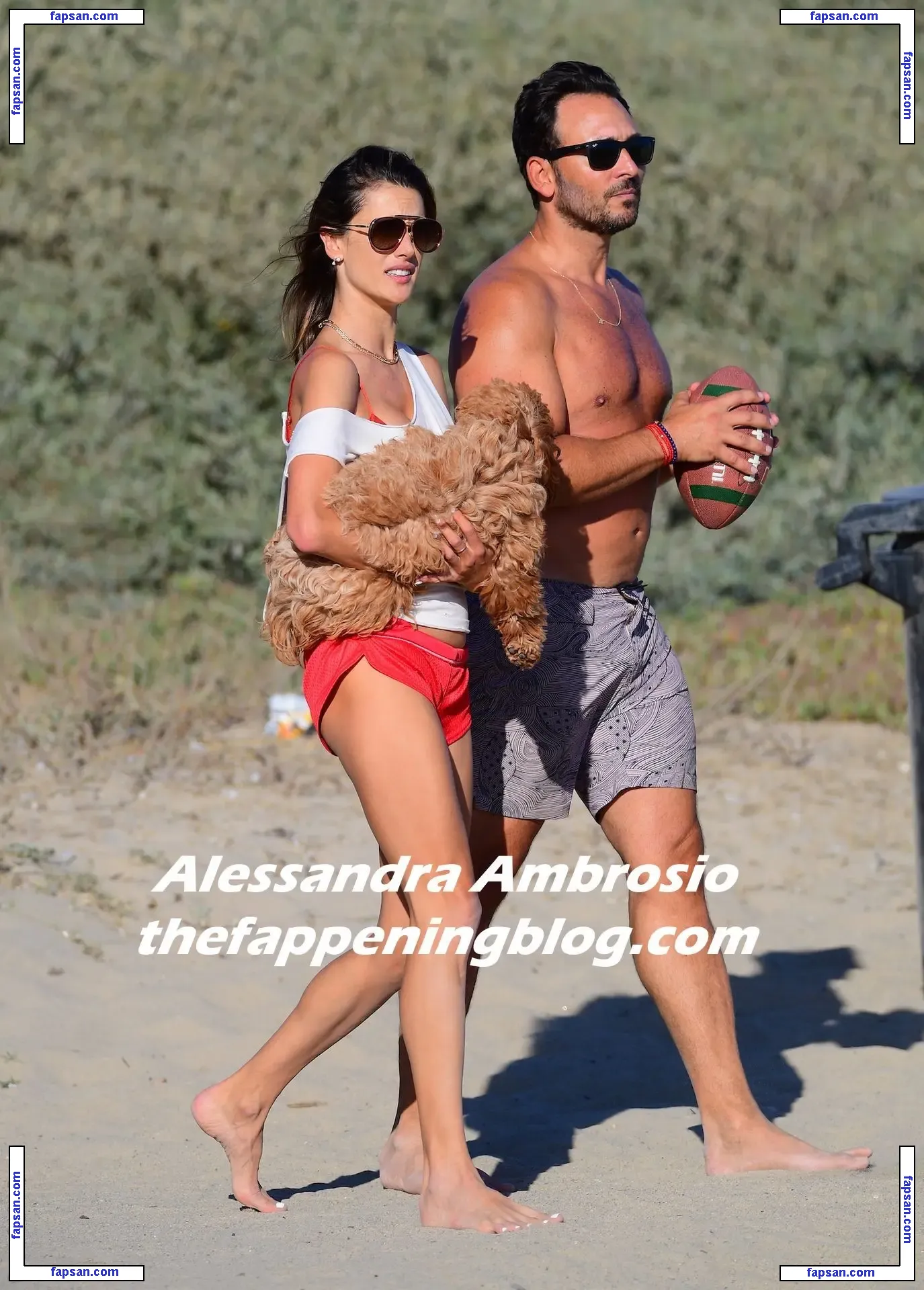 Alessandra Ambrosio голая фото #10947 с Онлифанс