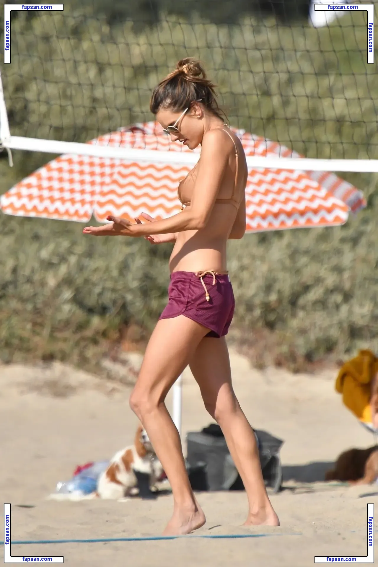 Alessandra Ambrosio голая фото #11503 с Онлифанс