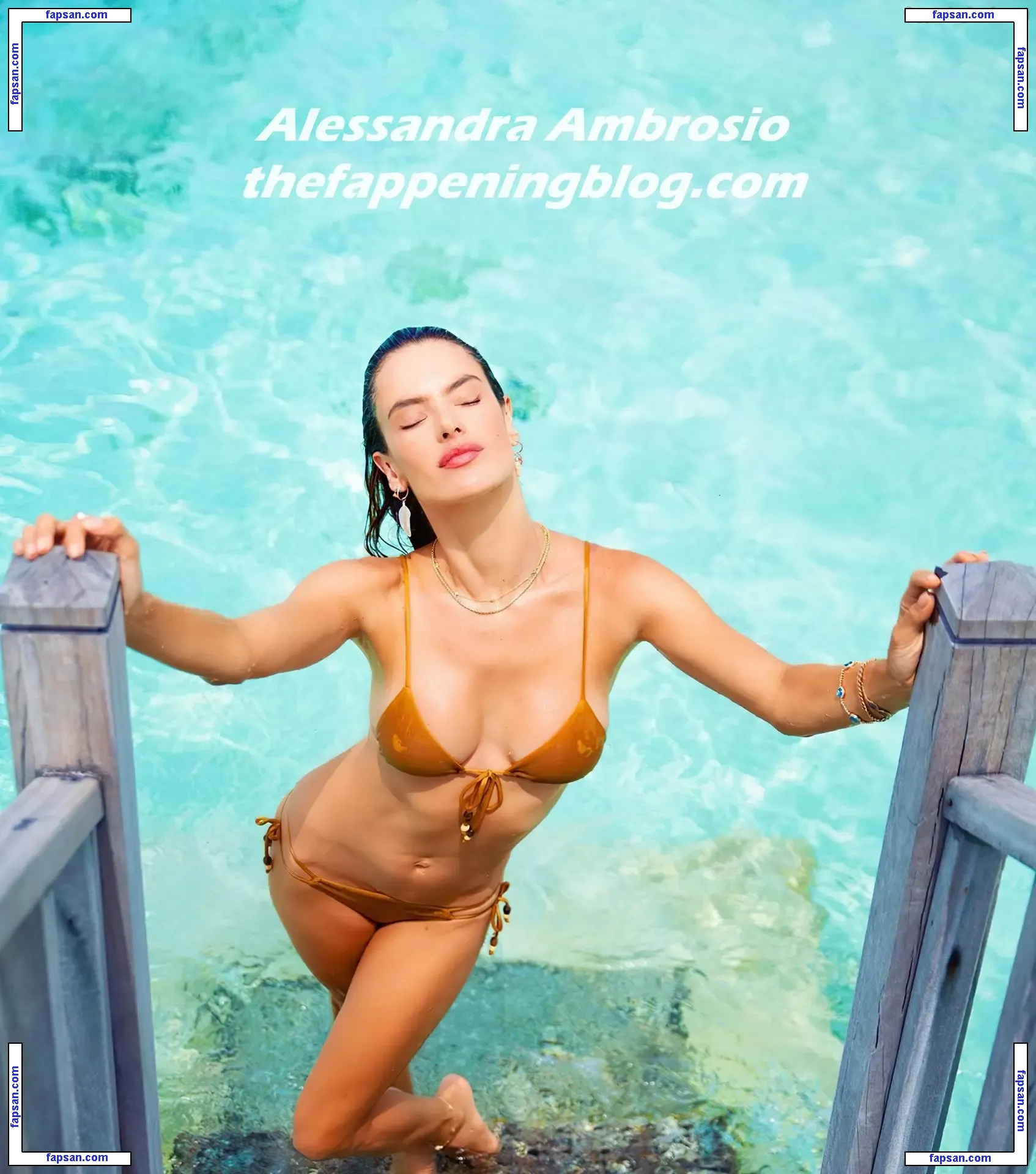 Alessandra Ambrosio nude photo #11549 from OnlyFans