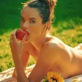 Alessandra Ambrosio голая #11444