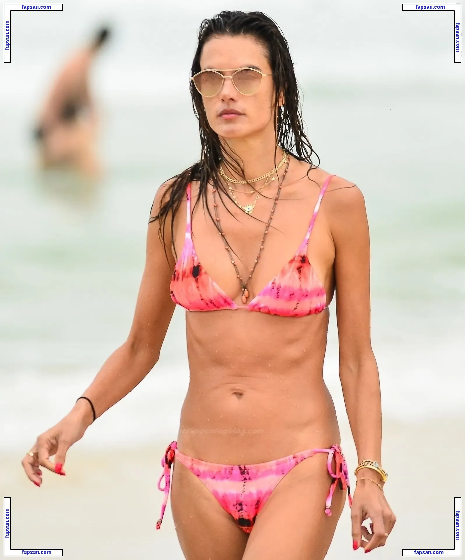 Alessandra Ambrosio голая фото #13243 с Онлифанс