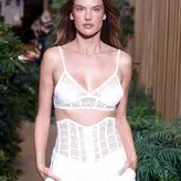 Alessandra Ambrosio голая #17242
