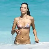 Alessandra Ambrosio голая #1809