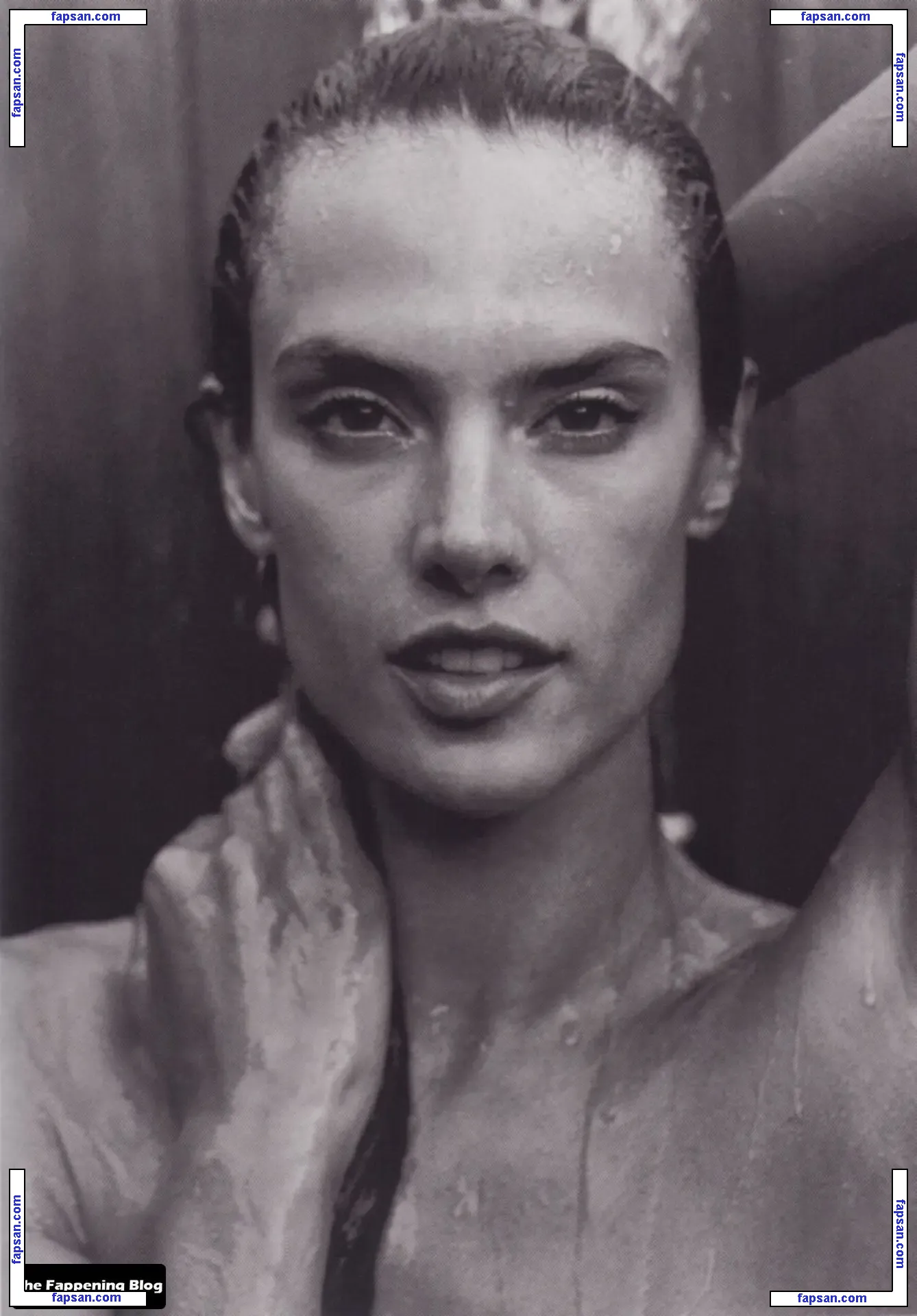 Alessandra Ambrosio голая фото #19300 с Онлифанс