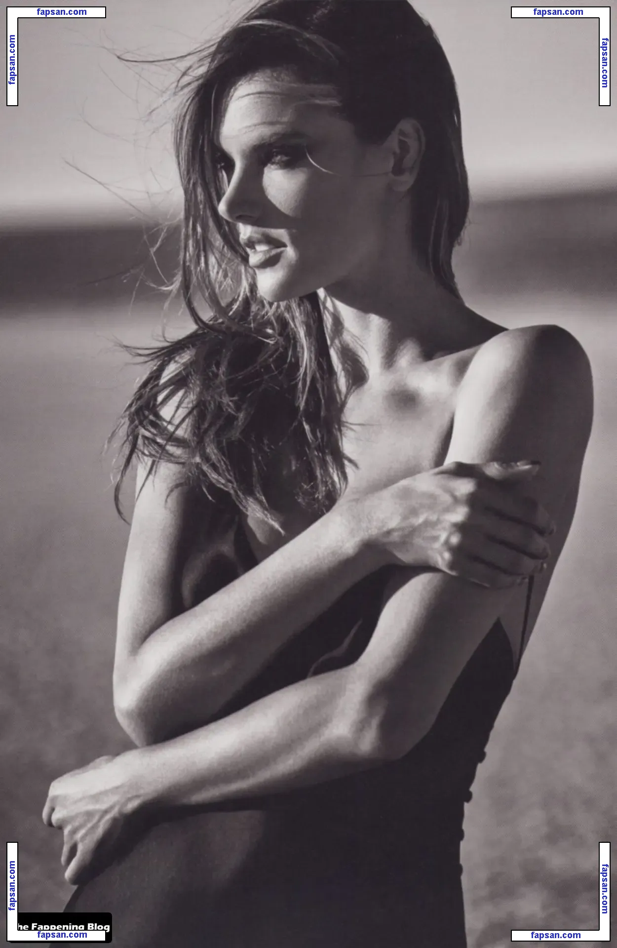 Alessandra Ambrosio голая фото #19304 с Онлифанс