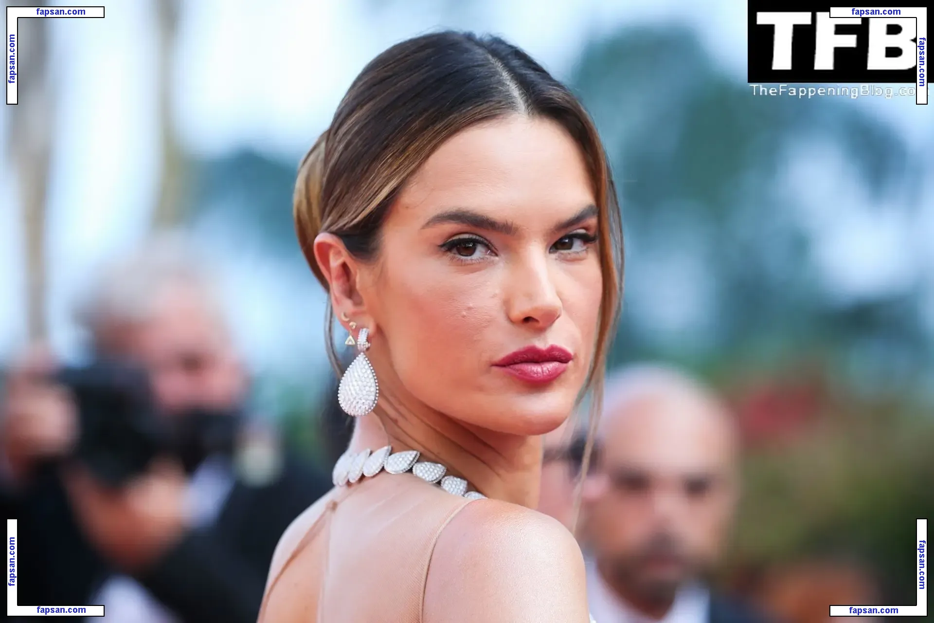 Alessandra Ambrosio голая фото #20407 с Онлифанс