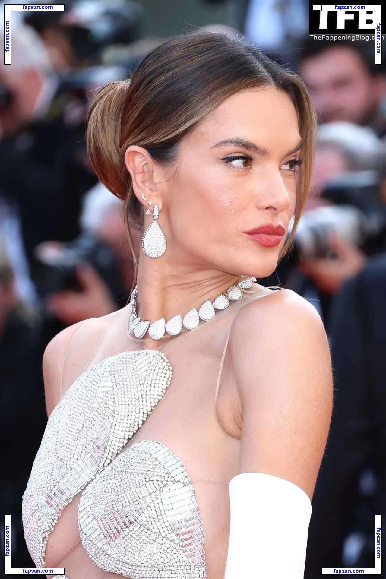 Alessandra Ambrosio голая фото #20416 с Онлифанс