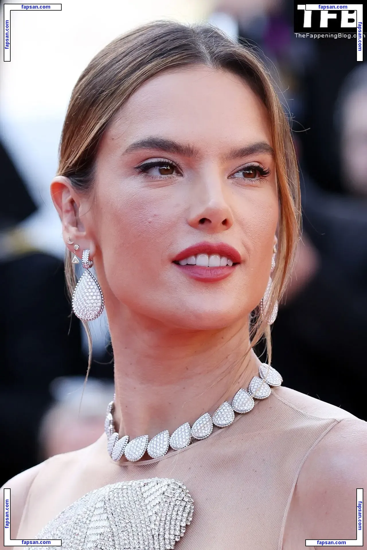Alessandra Ambrosio голая фото #20422 с Онлифанс