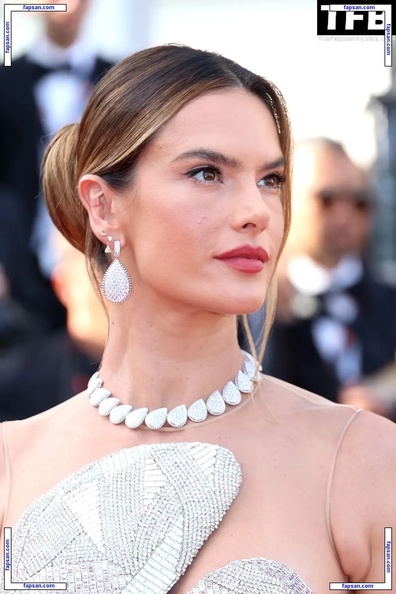 Alessandra Ambrosio голая фото #20430 с Онлифанс