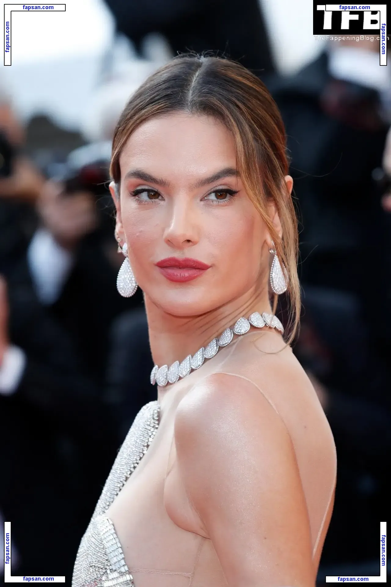 Alessandra Ambrosio голая фото #20447 с Онлифанс