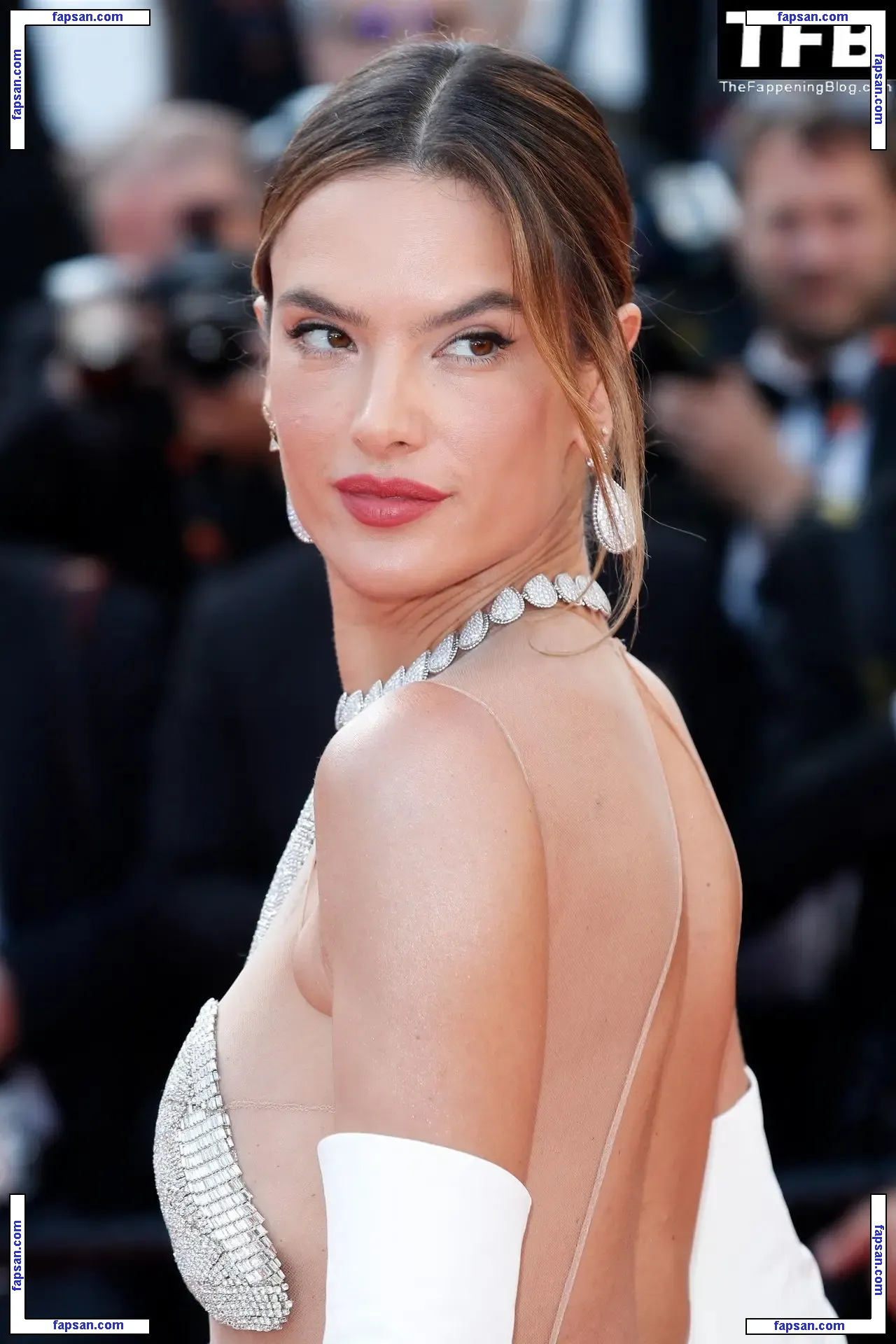 Alessandra Ambrosio голая фото #20448 с Онлифанс