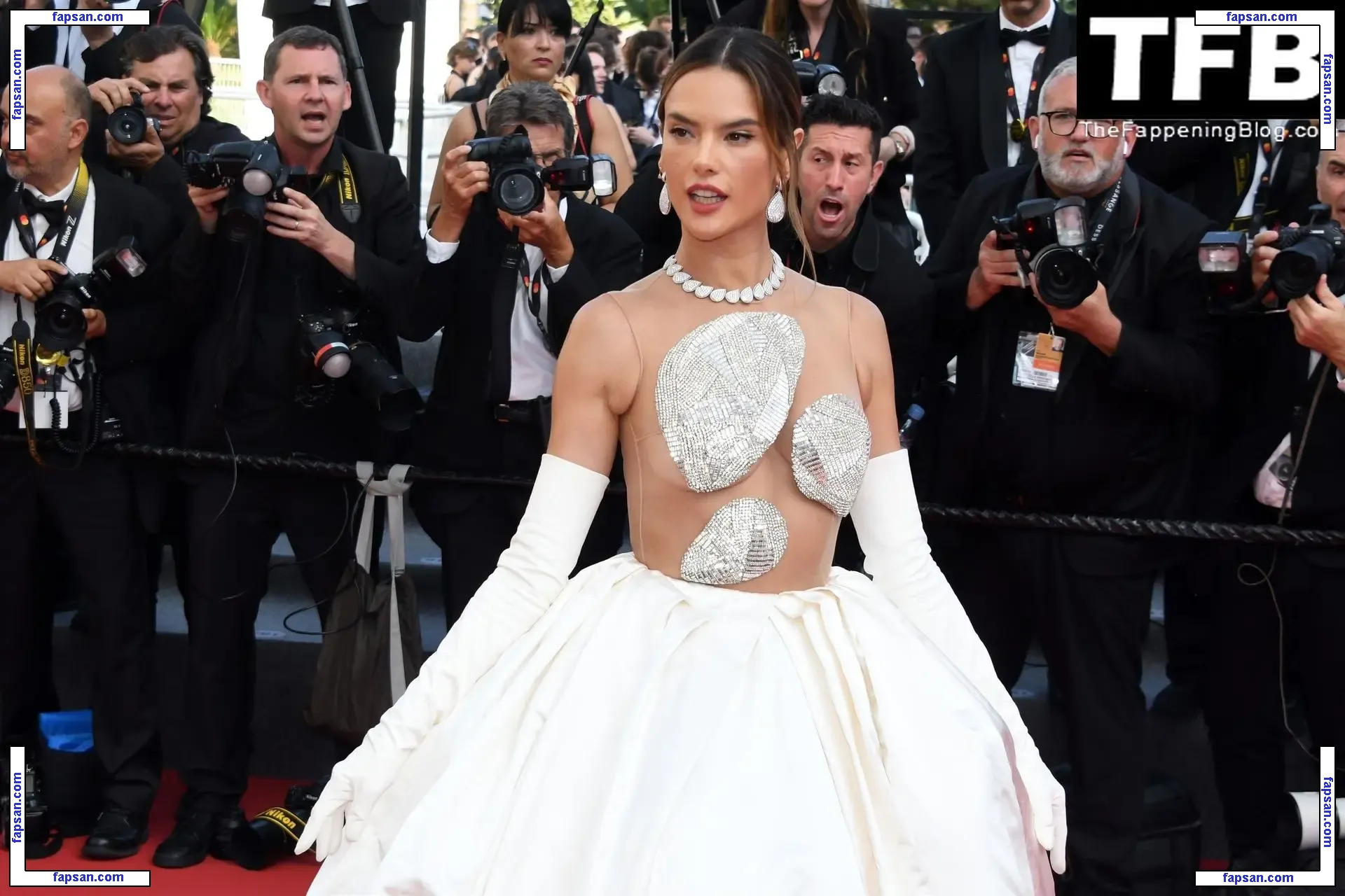 Alessandra Ambrosio голая фото #20456 с Онлифанс