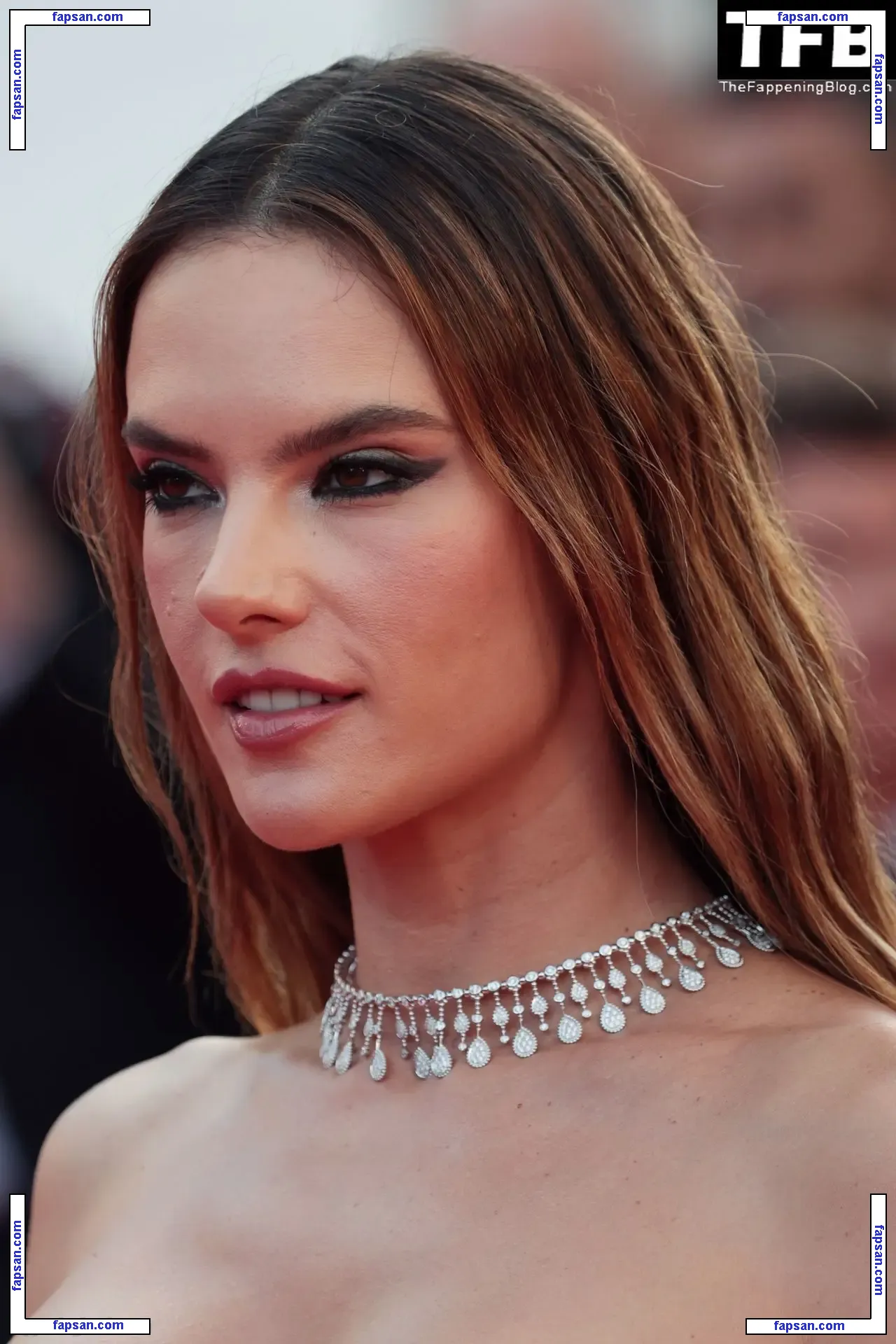 Alessandra Ambrosio голая фото #20562 с Онлифанс