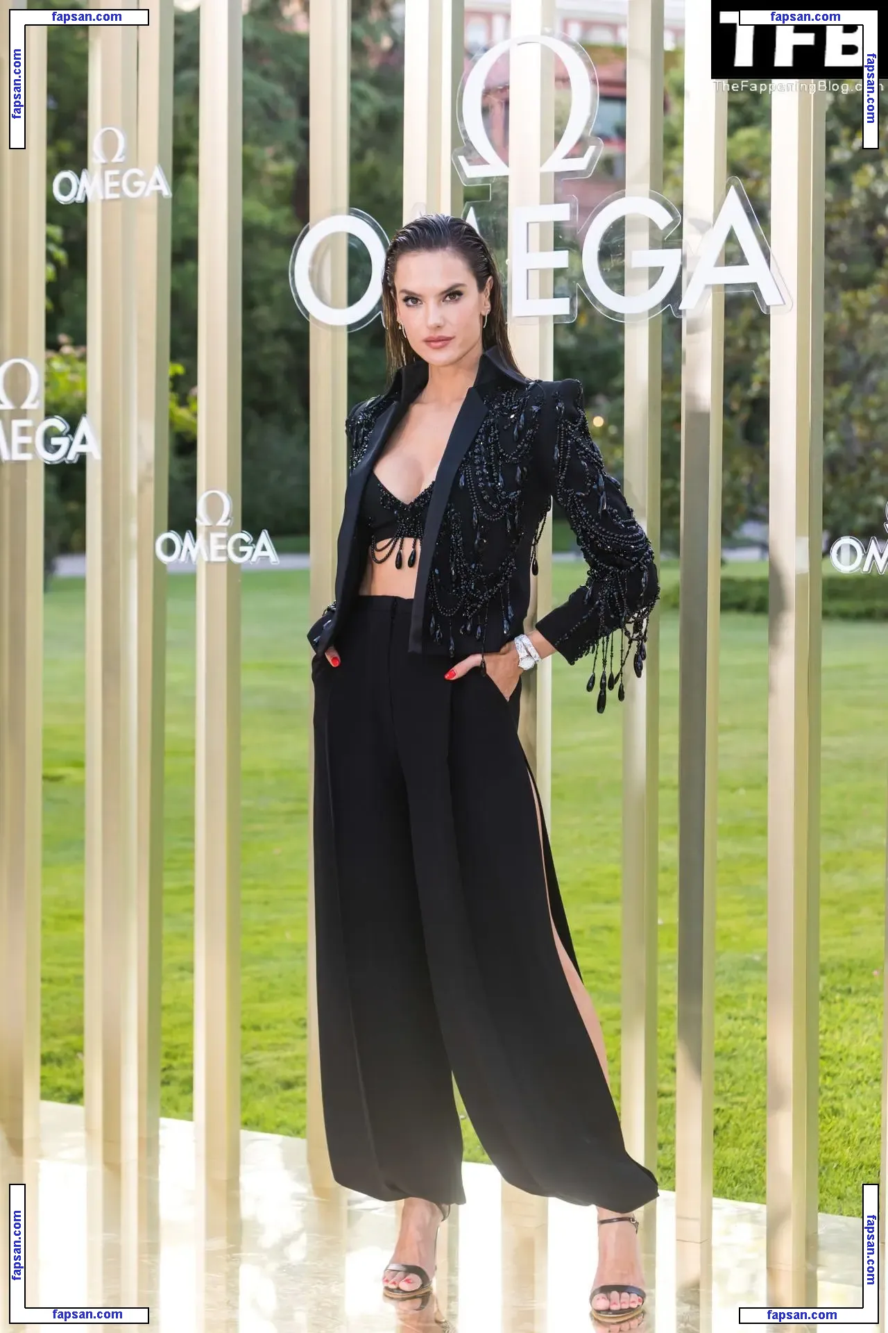 Alessandra Ambrosio голая фото #20750 с Онлифанс