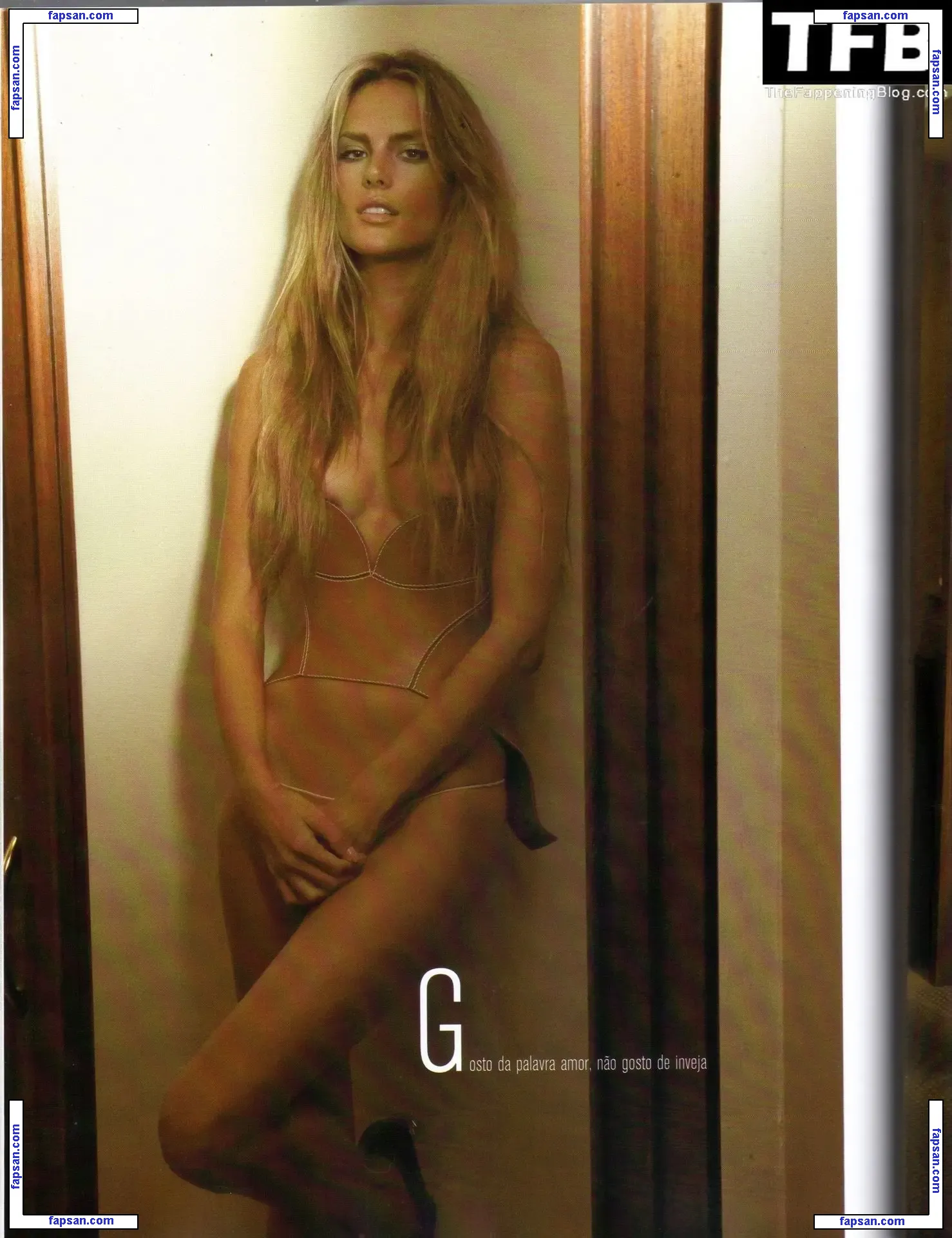 Alessandra Ambrosio nude photo #21302 from OnlyFans