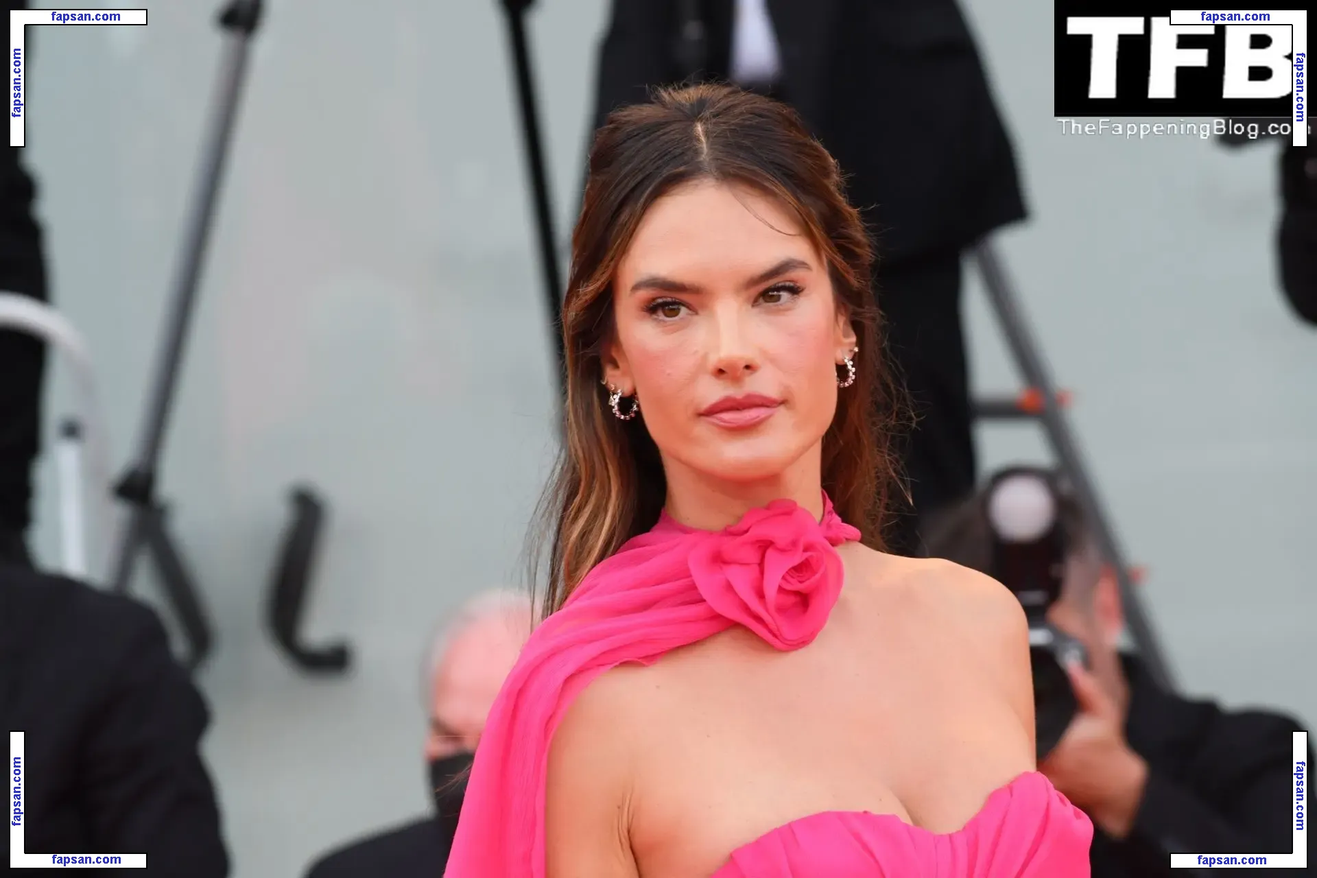 Alessandra Ambrosio голая фото #21686 с Онлифанс