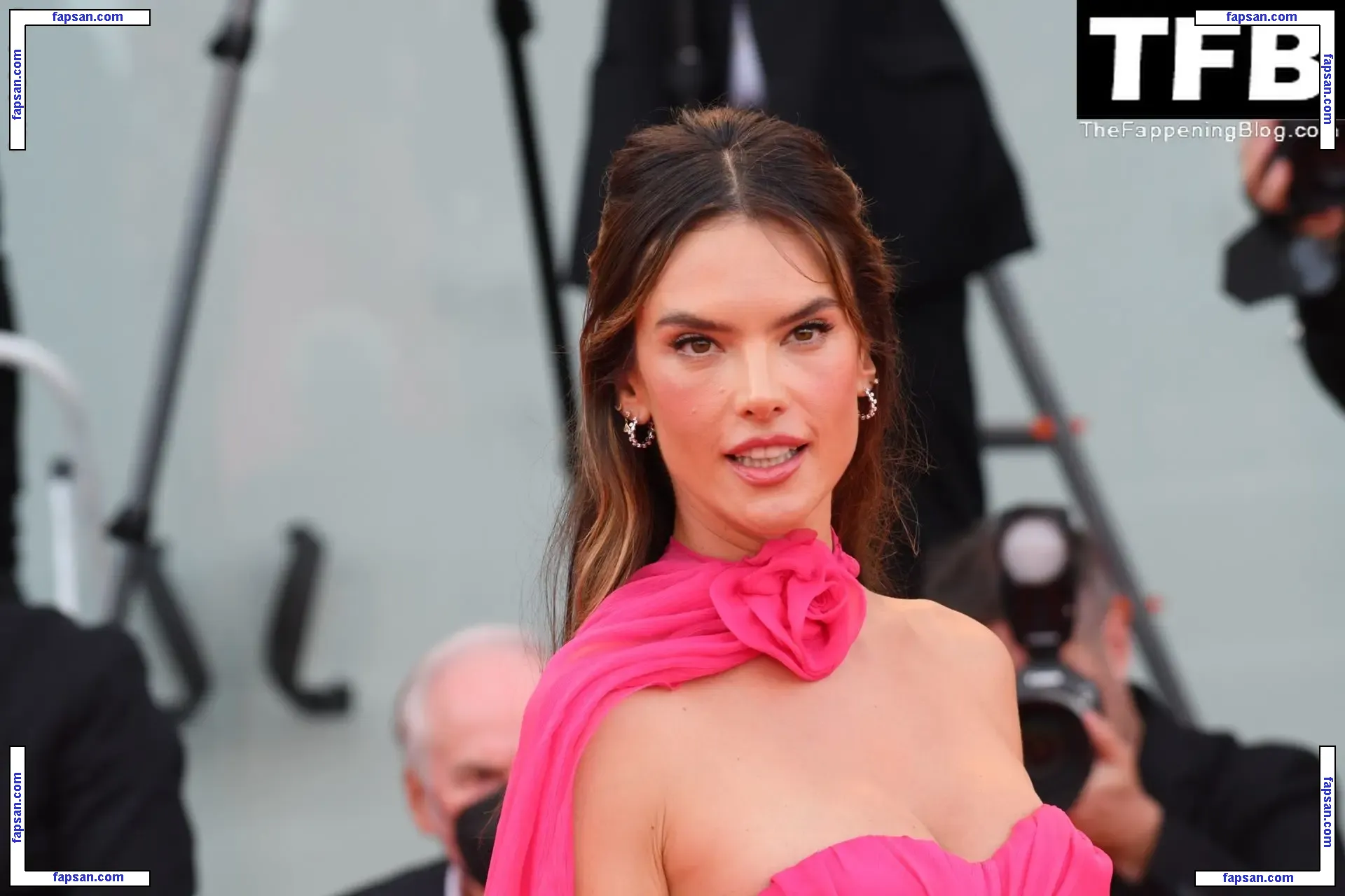 Alessandra Ambrosio голая фото #21687 с Онлифанс