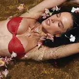 Alessandra Ambrosio nude #24657