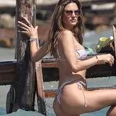 Alessandra Ambrosio nude #24672