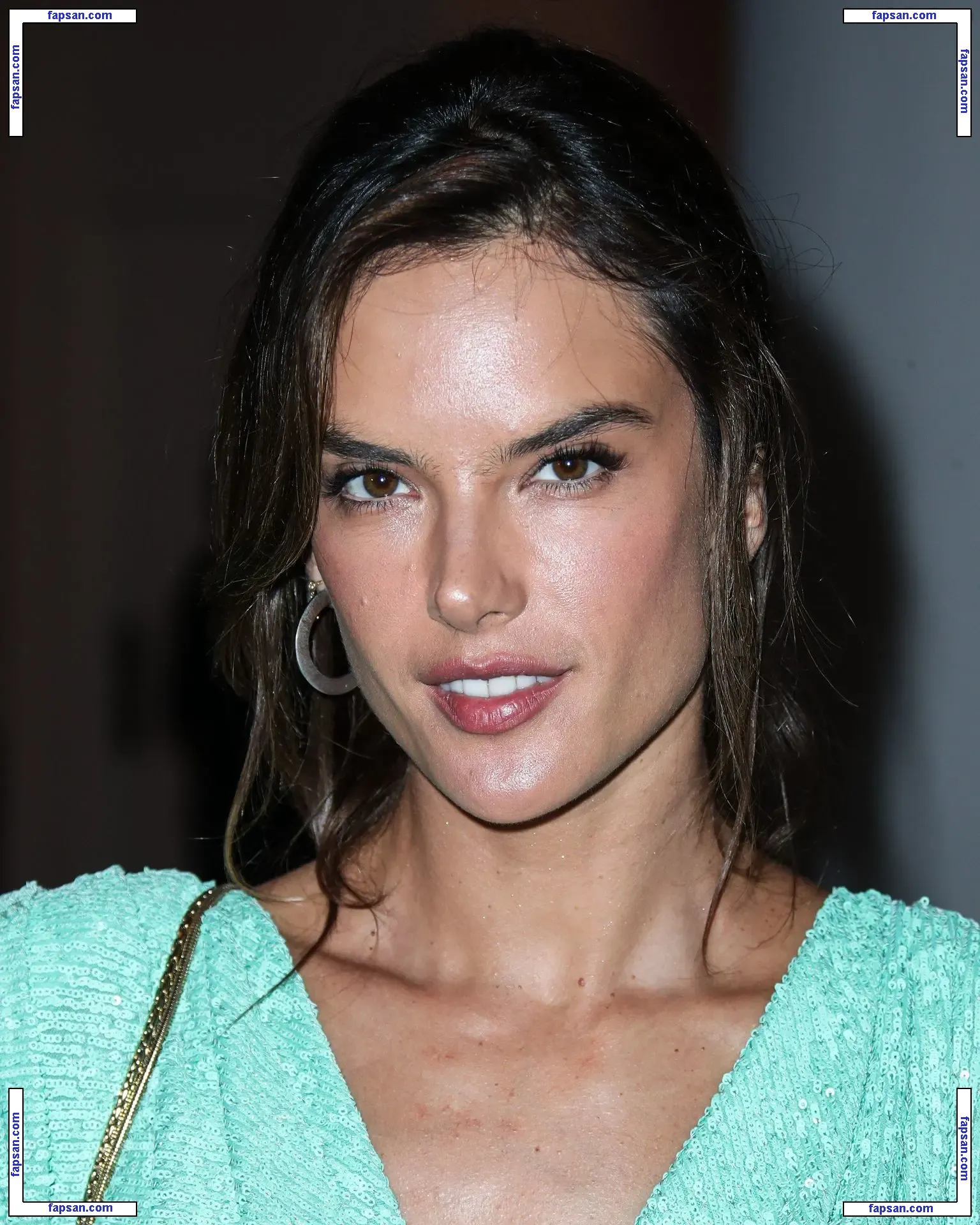 Alessandra Ambrosio голая фото #7252 с Онлифанс