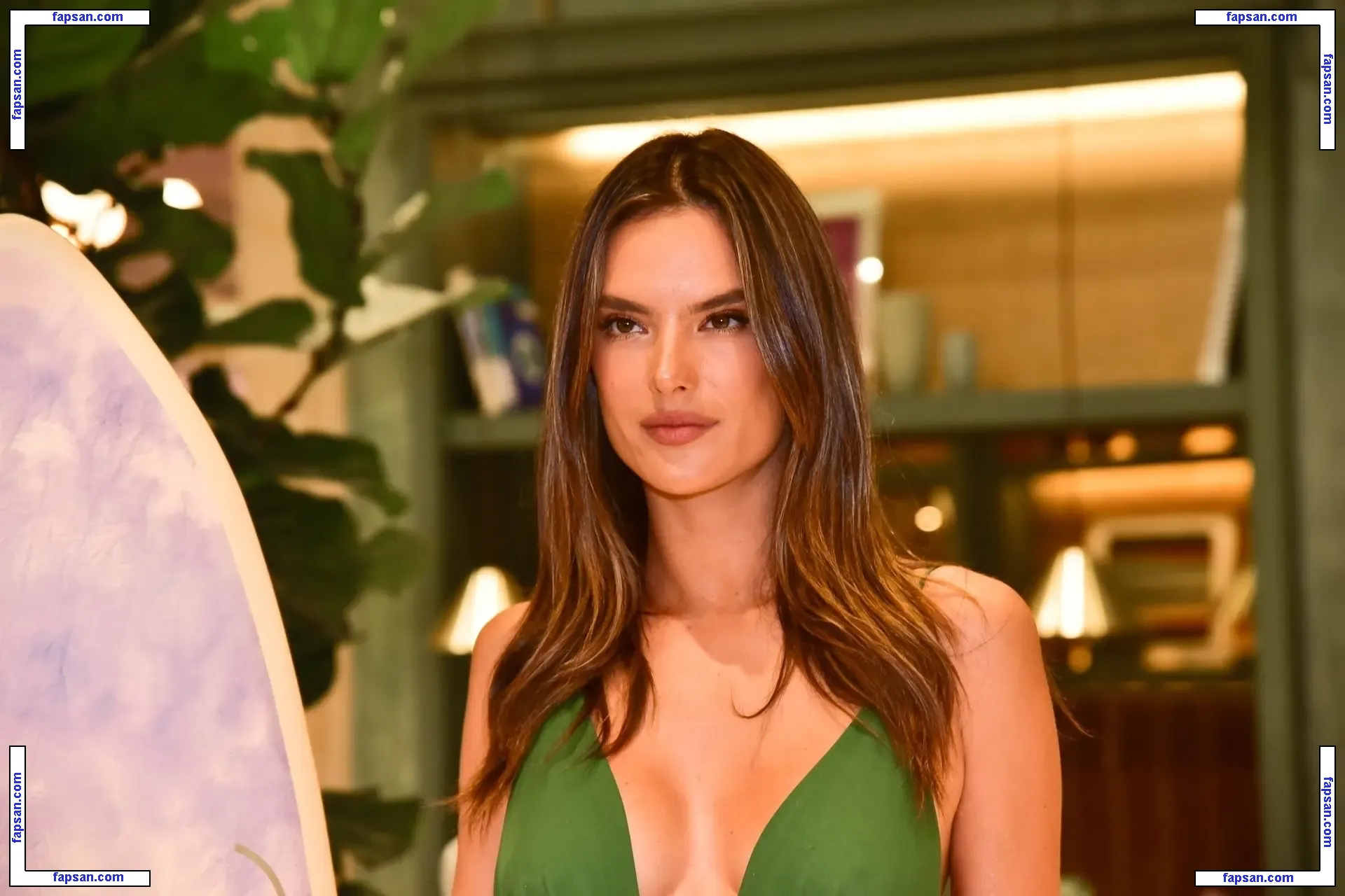 Alessandra Ambrosio голая фото #8046 с Онлифанс