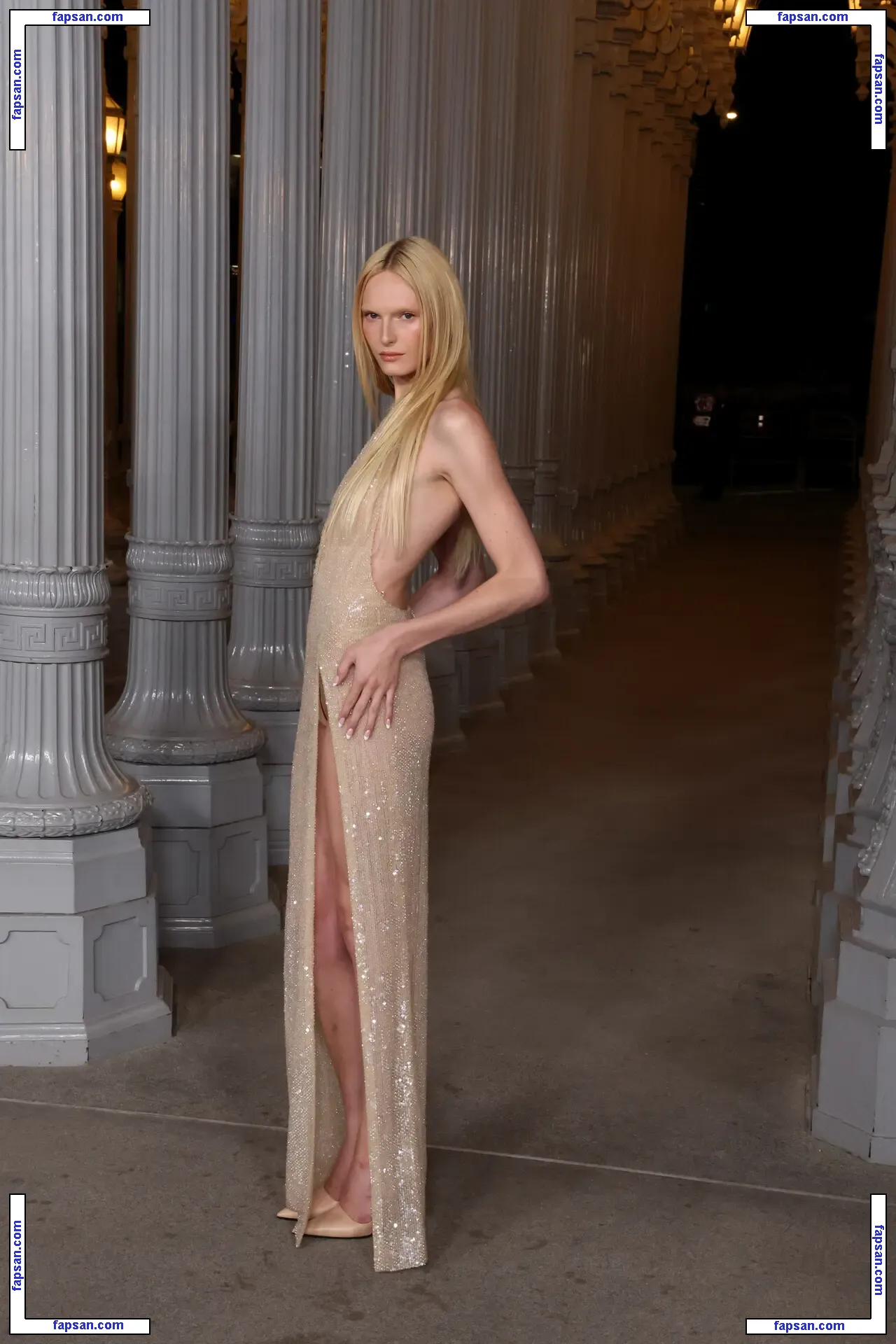 Alex Consani голая фото #0002 с Онлифанс