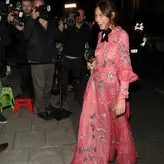 Alexa Chung голая #0001