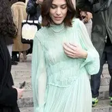 Alexa Chung голая #0101