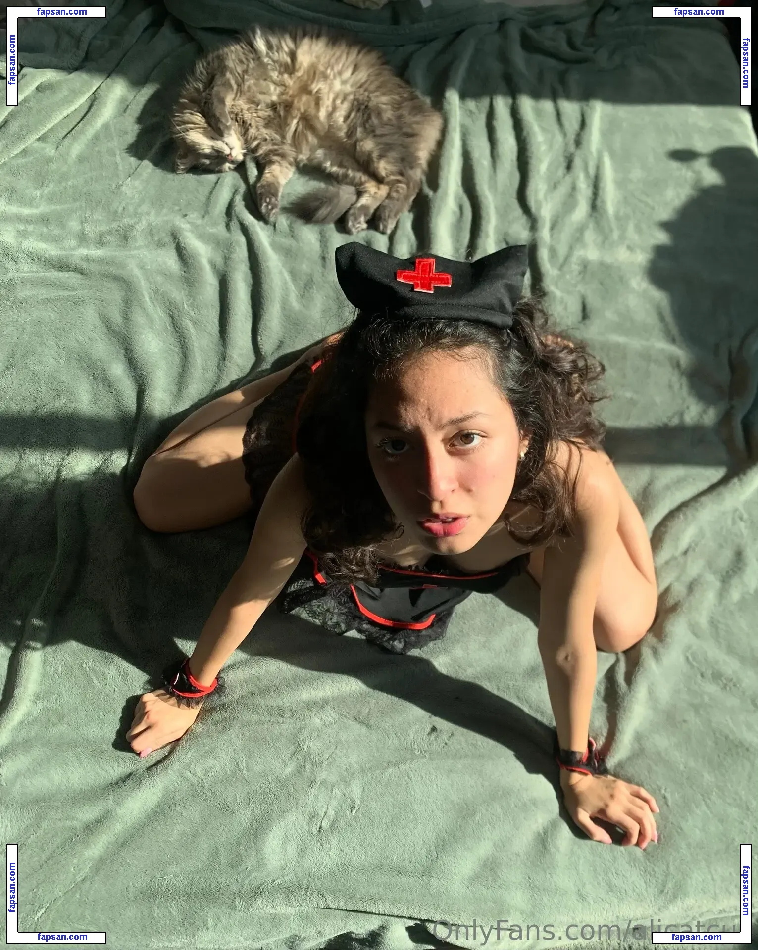 Alicatcua голая фото #0003 с Онлифанс