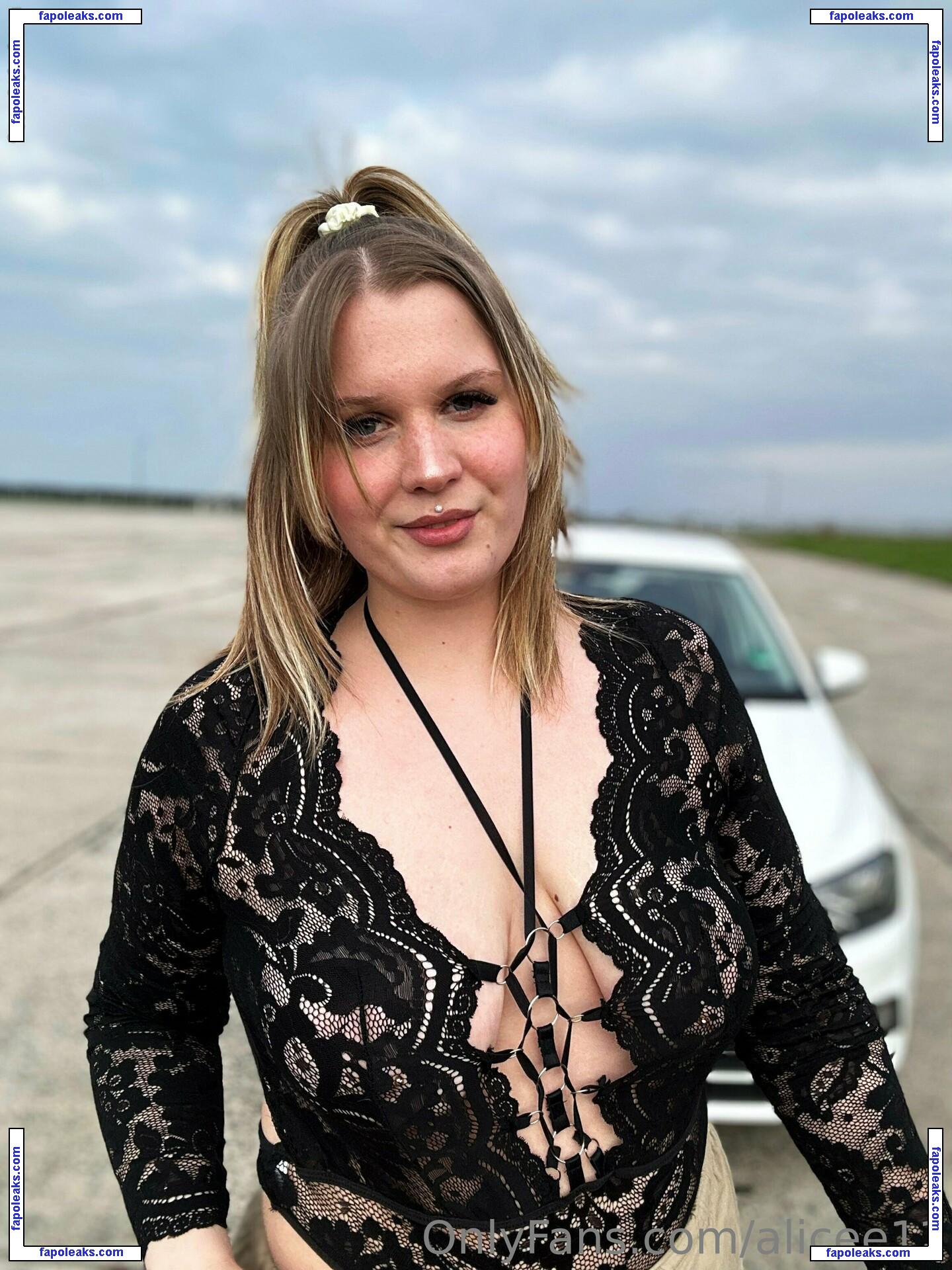 alicee11 / a.alicee11 nude photo #0022 from OnlyFans