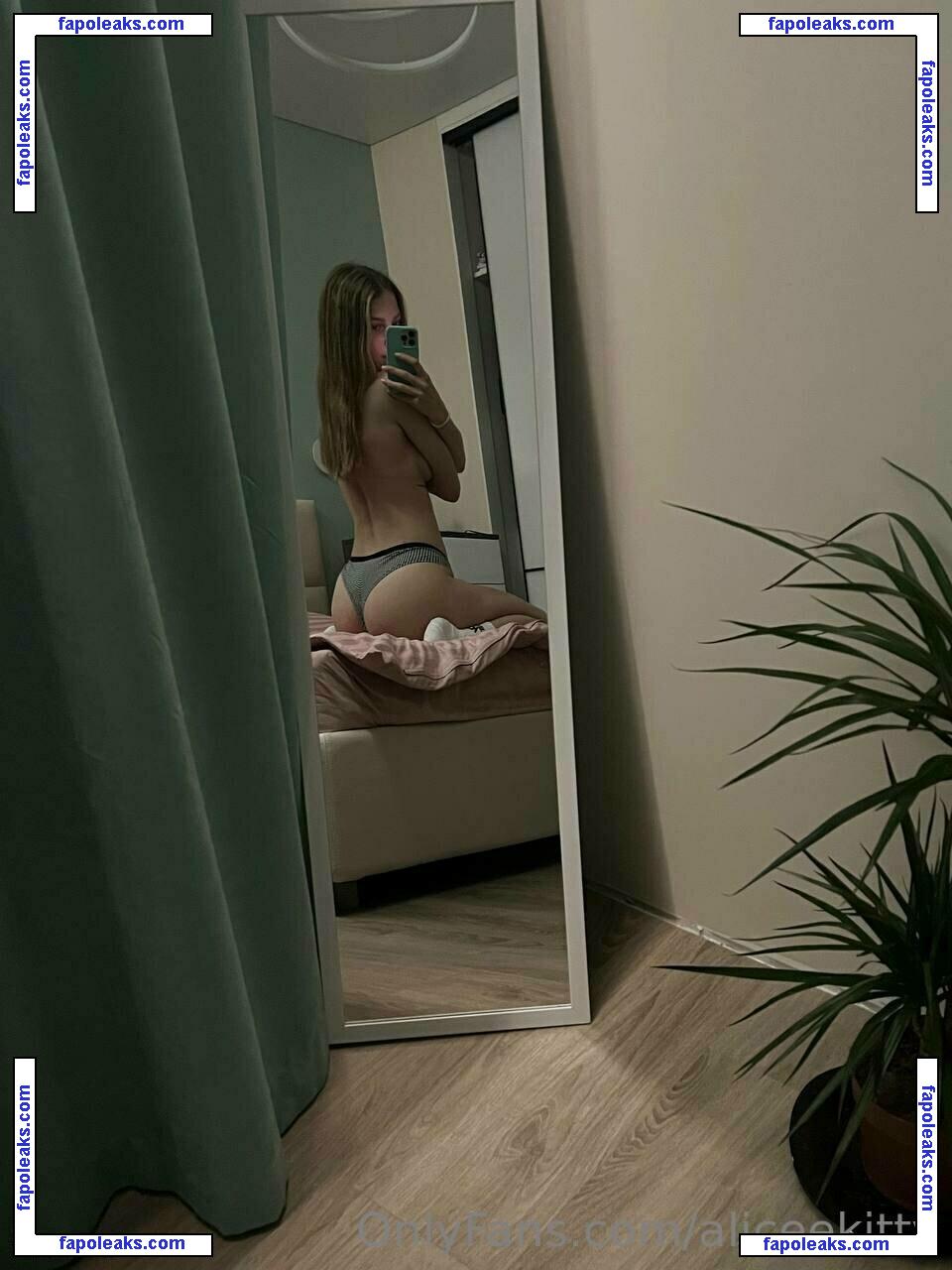 aliceekitty nude photo #0004 from OnlyFans