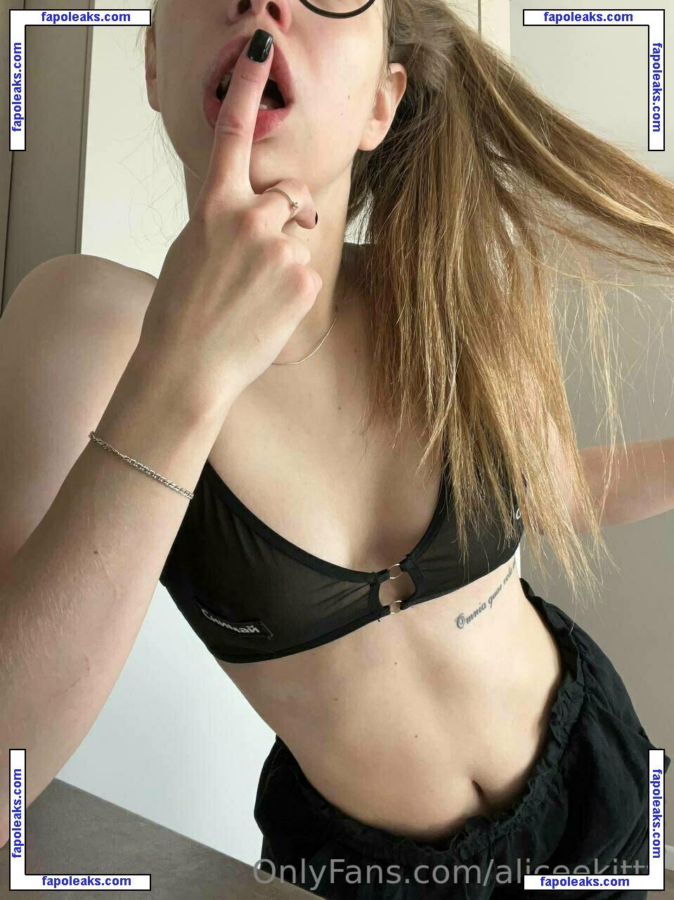 aliceekitty nude photo #0019 from OnlyFans