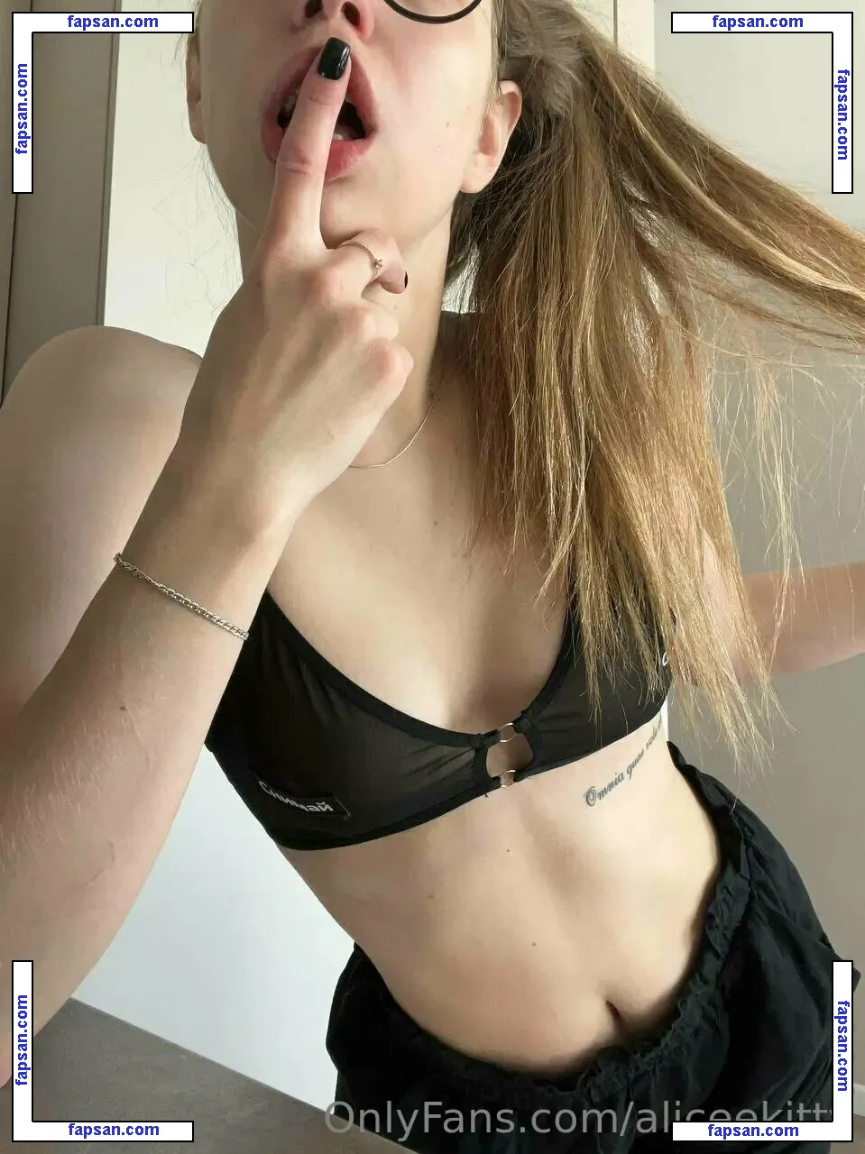 aliceekitty nude photo #0019 from OnlyFans