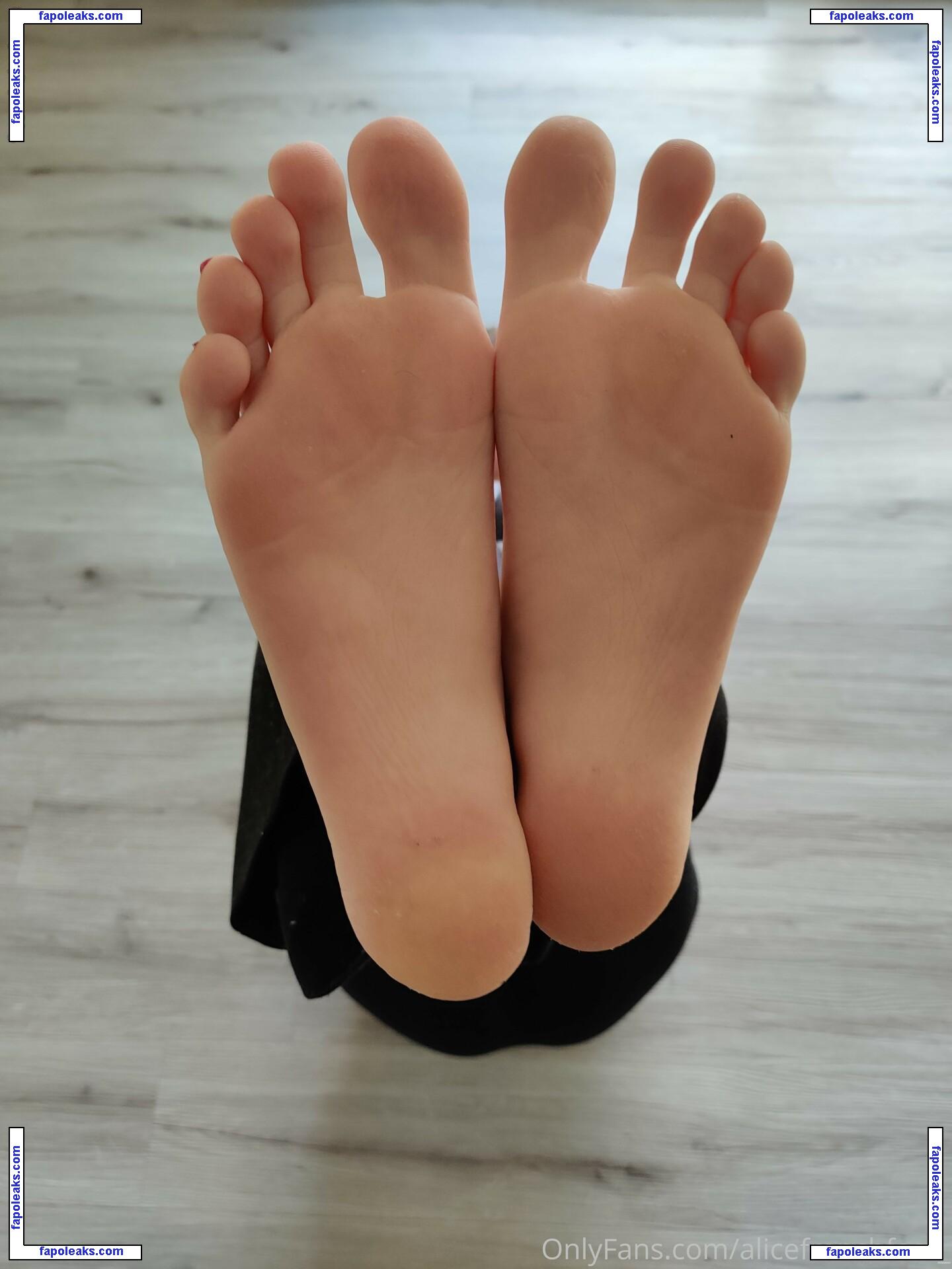 alicefrenchfeet / alice.frenchfeet nude photo #0045 from OnlyFans