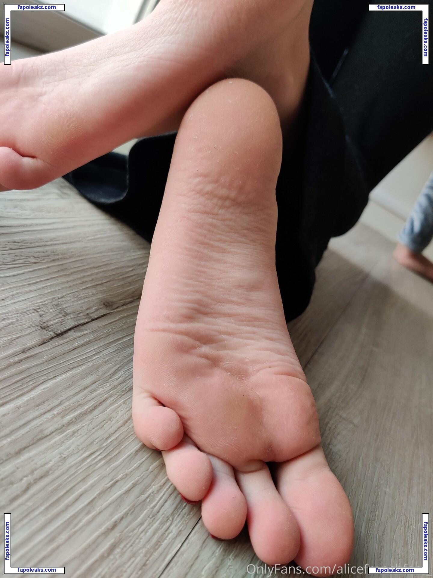 alicefrenchfeet / alice.frenchfeet nude photo #0064 from OnlyFans