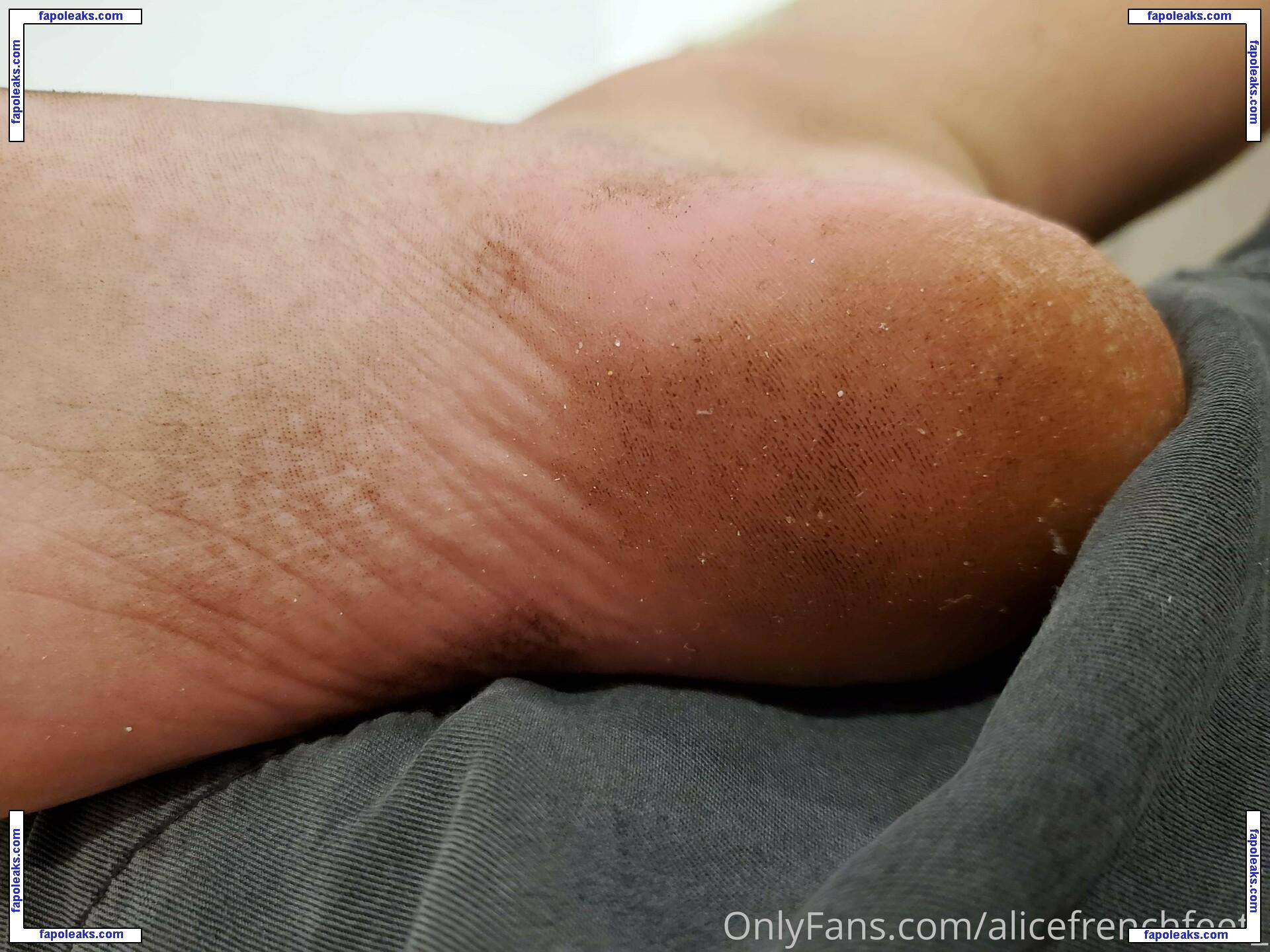 alicefrenchfeet / alice.frenchfeet nude photo #0140 from OnlyFans