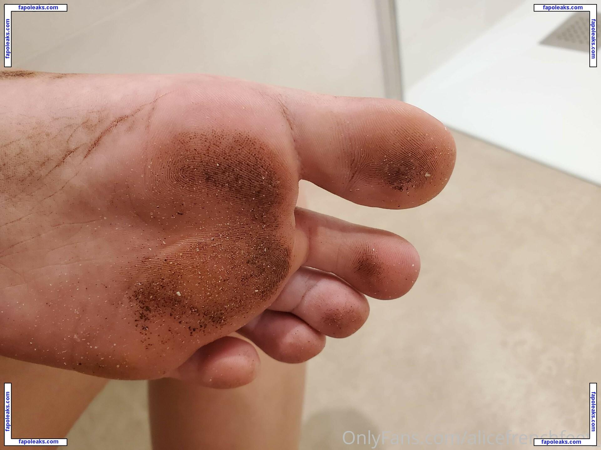 alicefrenchfeet / alice.frenchfeet nude photo #0141 from OnlyFans