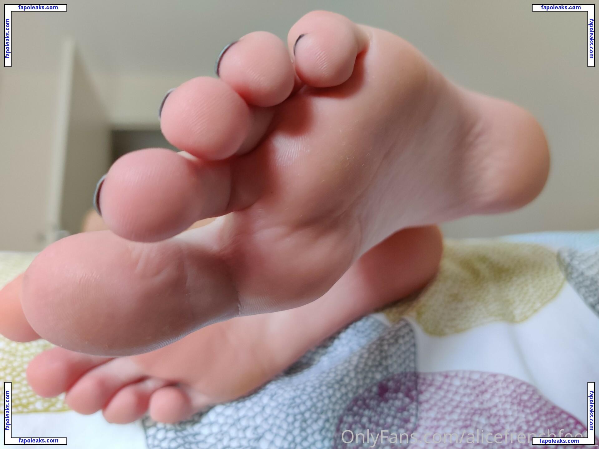 alicefrenchfeet / alice.frenchfeet nude photo #0146 from OnlyFans